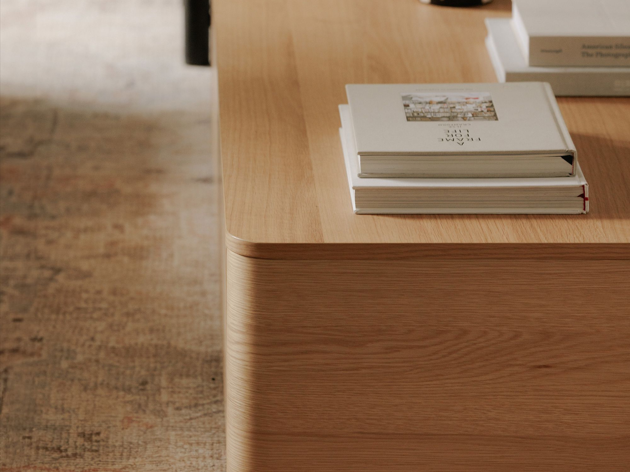 Erina Storage Coffee Table - Image 14